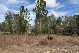 16426 Courlan Rd, Brooksville, FL 34614 - Photo 10