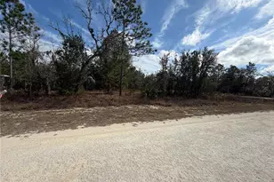 16426 Courlan Rd, Brooksville, FL 34614 - Photo 6