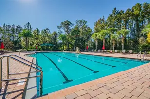 8542 Eagle Brook Dr, Land O Lakes, FL 34638 - Photo 76