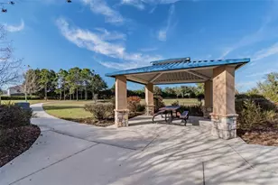 20227 Still Wind Dr, Tampa, FL 33647 - Photo 50