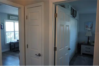 908 Sago Palm Way, Apollo Beach, FL 33572 - Photo 54