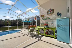 25508 Bruford Blvd, Land O Lakes, FL 34639 - Photo 48