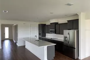 10067 Dolphin Gull Cir, Thonotosassa, FL 33592 - Photo 10