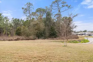 2891 Lotus Flower Trl, Wesley Chapel, FL 33543 - Photo 30