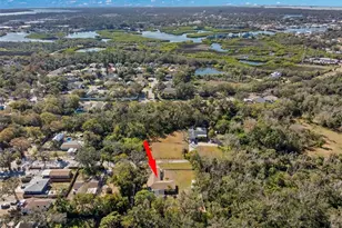 455 Pasaje Ave, Tarpon Springs, FL 34689 - Photo 44