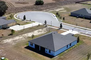 10190 Dolphin Gull Cir, Thonotosassa, FL 33592 - Photo 48