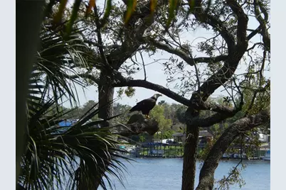 8910 Eagle Watch Drive, Riverview, FL 33578 - Photo 36