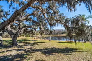 18419 Tyler Rd, Odessa, FL 33556 - Photo 4