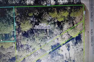 12449 Indigo Bunting, Weeki Wachee, FL 34614 - Photo 1