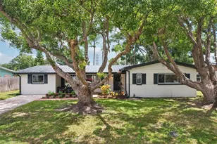 311 Shore Dr E, Oldsmar, FL 34677 - Photo 42