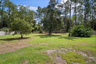 7460 Thunderhead St, Wesley Chapel, FL 33544 - Photo 14