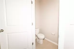 16619 Mooner Plank Cir, Wimauma, FL 33598 - Photo 32