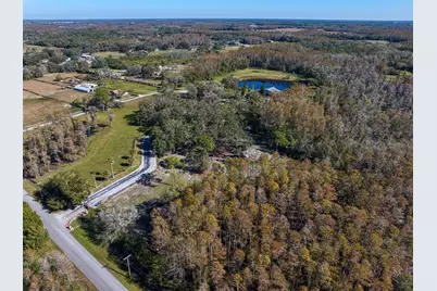 18409 Tyler Road, Odessa, FL 33556 - Photo 62