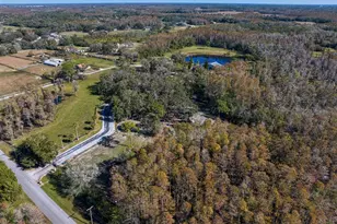 18409 Tyler Rd, Odessa, FL 33556 - Photo 62