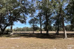 5582 C R 317, Bushnell, FL 33513 - Photo 30