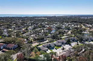 602 Quail Keep Dr, Safety Harbor, FL 34695 - Photo 32