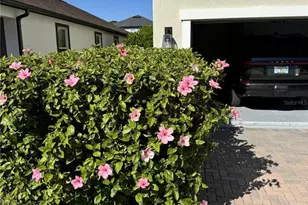 18023 Fenders Wy, Land O Lakes, FL 34638 - Photo 40