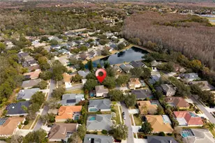 5292 Kernwood Ct, Palm Harbor, FL 34685 - Photo 88