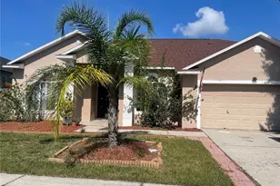 310 Crystal Goblet Ct, Valrico, FL 33594 - Photo 1