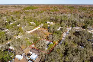 10205 Burton St, New Port Richey, FL 34654 - Photo 26