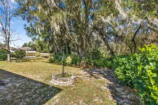 808 Bronze Bush Ct, Plant City, FL 33566 - Photo 34