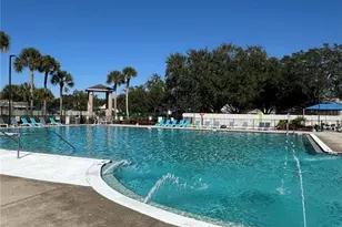 1618 Citrus Orchard Way, Valrico, FL 33594 - Photo 22