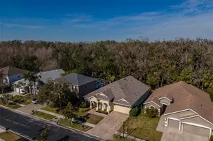 27721 Kirkwood Cir, Wesley Chapel, FL 33544 - Photo 50