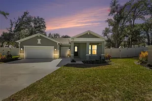 30008 Vienna Woods Ln, Wesley Chapel, FL 33545 - Photo 2