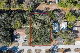 1241 Sylvia Ave, Spring Hill, FL 34606 - Photo 1