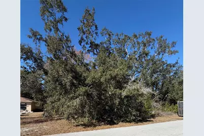 1241 Sylvia Avenue, Spring Hill, FL 34606 - Photo 2