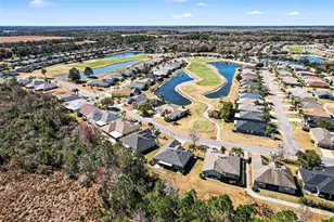 10118 Cleghorn Dr, San Antonio, FL 33576 - Photo 2