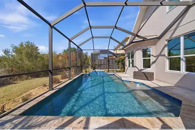31520 Holcomb Pass, Wesley Chapel, FL 33543 - Photo 8