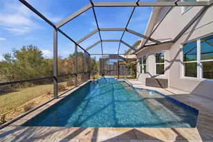 31520 Holcomb Pass, Wesley Chapel, FL 33543 - Photo 8