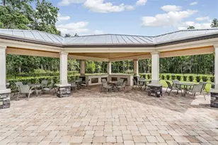 19230 Pepper Grass Dr, Tampa, FL 33647 - Photo 52