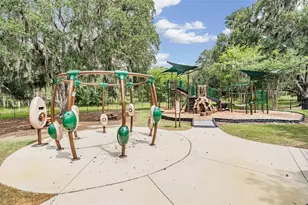 19230 Pepper Grass Dr, Tampa, FL 33647 - Photo 60