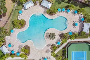 19230 Pepper Grass Dr, Tampa, FL 33647 - Photo 50