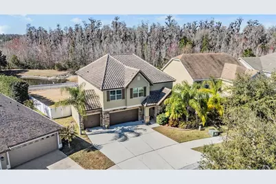 19230 Pepper Grass Drive, Tampa, FL 33647 - Photo 2