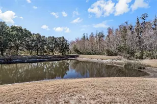 19230 Pepper Grass Dr, Tampa, FL 33647 - Photo 48