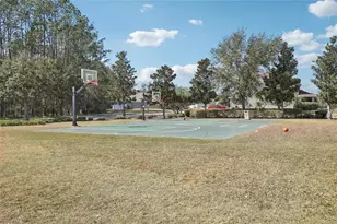 7614 Atwood Dr, Wesley Chapel, FL 33545 - Photo 32