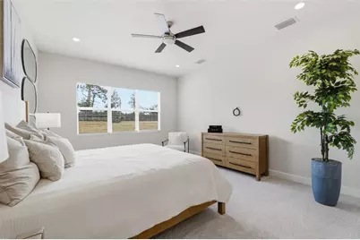 32616 Neroli Street, Wesley Chapel, FL 33543 - Photo 22