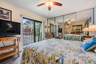 2634 10th Ct, Palm Harbor, FL 34684 - Photo 16