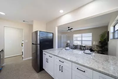 4603 S Shamrock Road, Tampa, FL 33611 - Photo 10