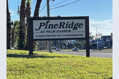 1725 Pine Ridge Way E #C, Palm Harbor, FL 34684 - Photo 28