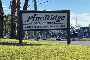 1725 Pine Ridge Way E, Palm Harbor, FL 34684 - Photo 28