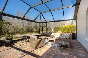 19817 Glazing Globe Ln, Lutz, FL 33558 - Photo 40