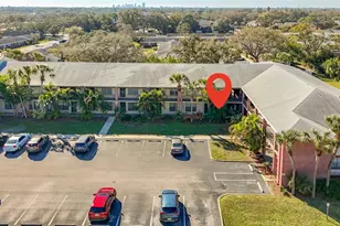 1020 85th Ave N, Saint Petersburg, FL 33702 - Photo 48