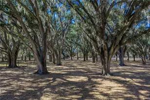 808 Old Welcome Rd, Lithia, FL 33547 - Photo 60