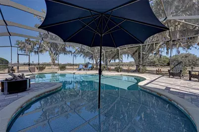 808 Old Welcome Road, Lithia, FL 33547 - Photo 48