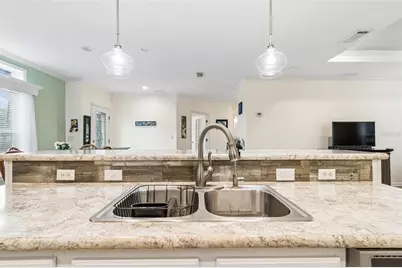9003 Scott Wilson Lane, Odessa, FL 33556 - Photo 26