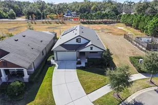 1246 Florablu Dr, Seffner, FL 33584 - Photo 68